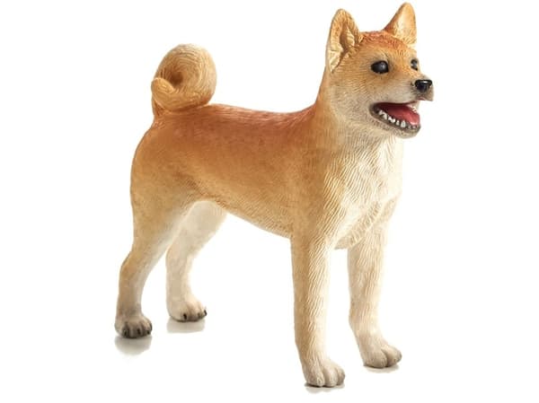Mojo Shiba koira