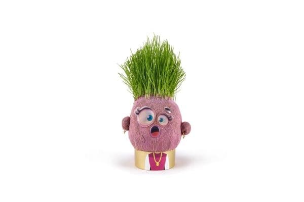 Hape Plant Pals (1 pcs) - Assorted