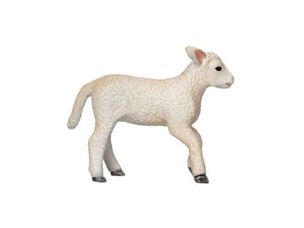 Mojo Romney Lamb Running