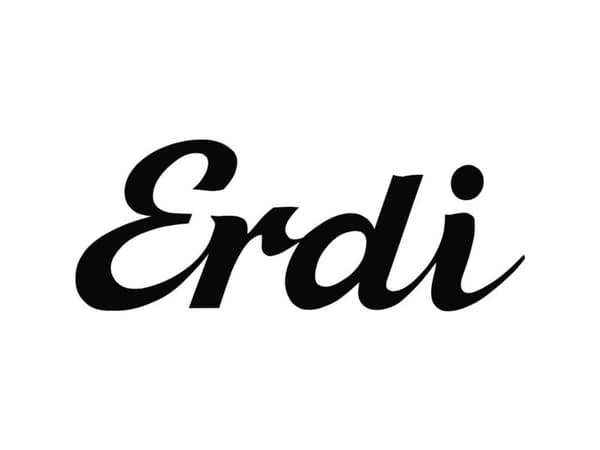 Erdi D355 Irrotustyökalu 250 mm