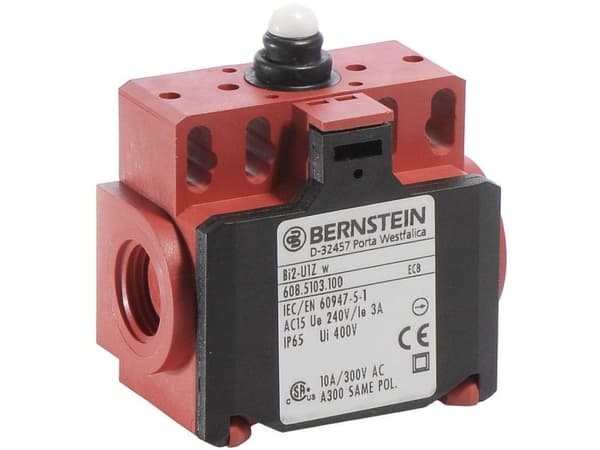 Bernstein 6085103100, musta, punainen, 76 g