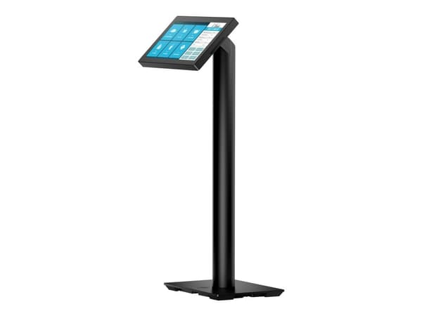HP Engage Pole Display - Kundeskjerm - 6.6" - for Engage One Essential