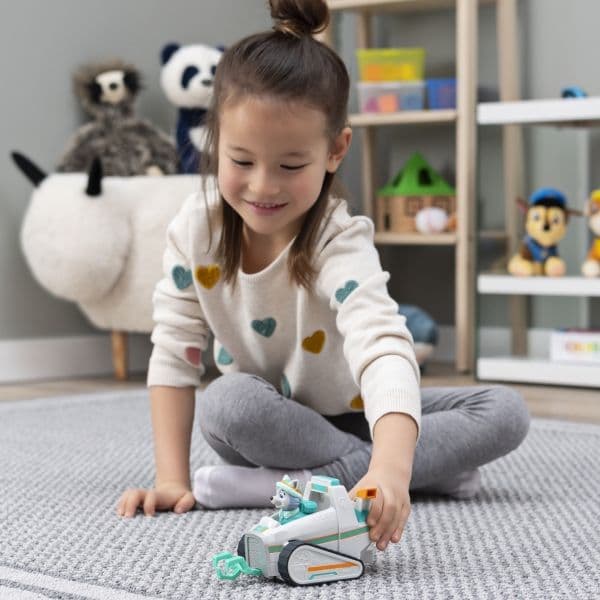 Playset Spin Master Paw Patrol Everest