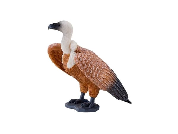 Griffon Vulture