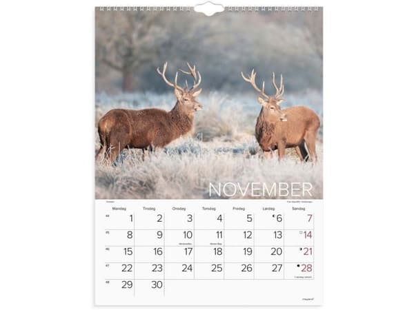 Väggkalender Världens djur 2027