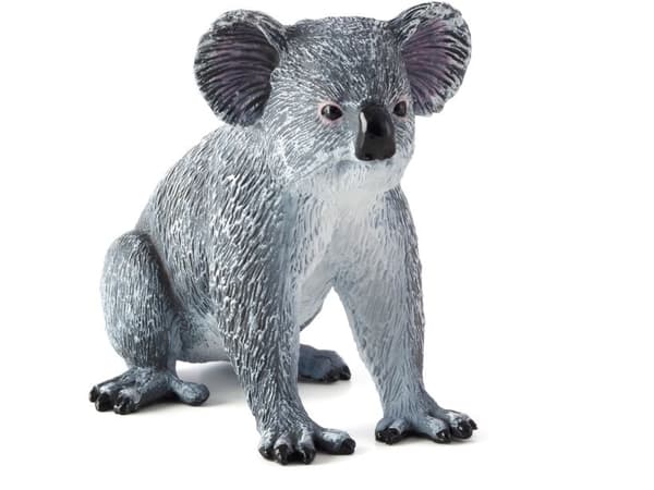 Mojo Koala