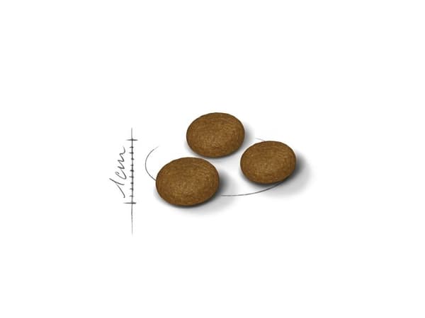 Royal Canin Fussy torrfoder för katt – 4 kg