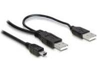 Delock - USB-kabel - USB, USB (endast ström) (hane) till mini-USB typ B (hane) - 1 m