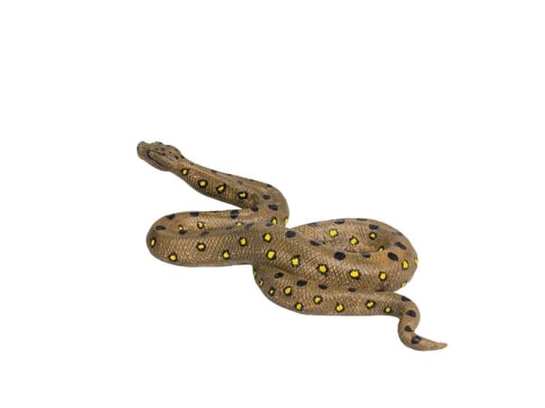 Mojo vihreä Anaconda