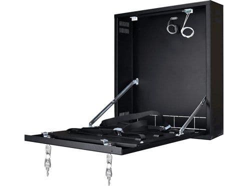 Pulsar serverhus Pulsar AWO529 DVR hus