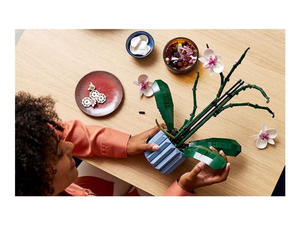 LEGO Botanicals 10311 Orkidé