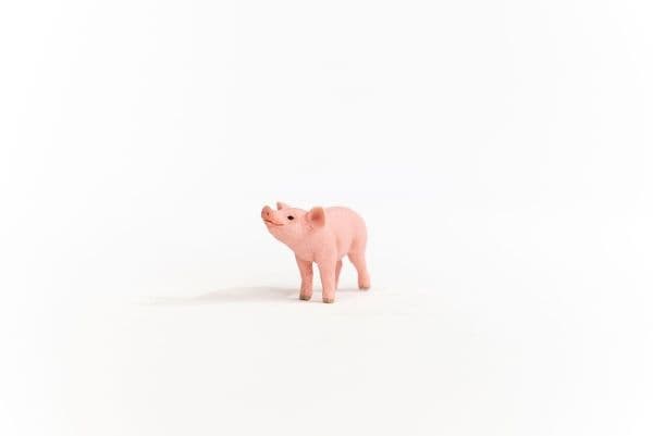 Schleich possu