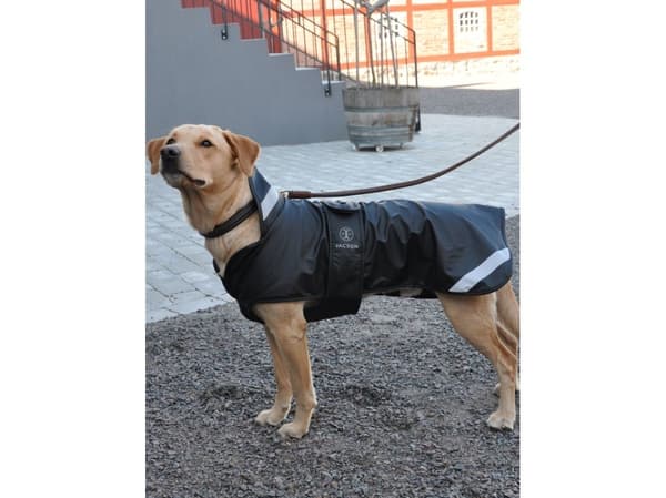 Jacson Barbro Koiran peitto Musta 55cm 55cm 55cm