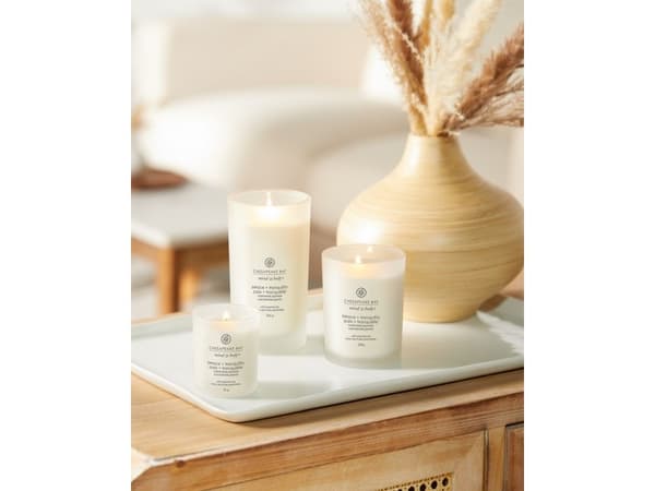 Chesapeake Bay Candle -Large - Peace & Tranquility