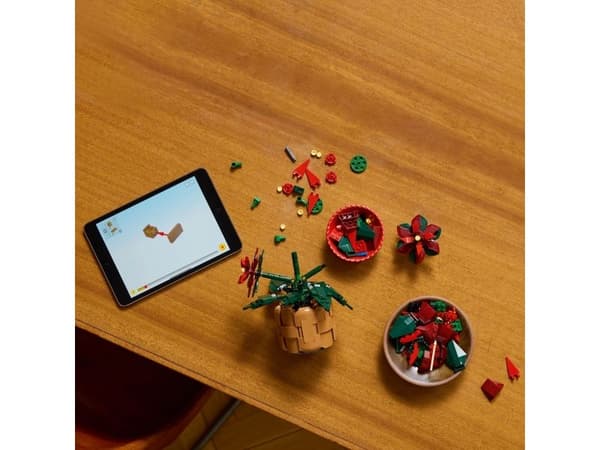 LEGO Botanicals 10370 Julestjerne