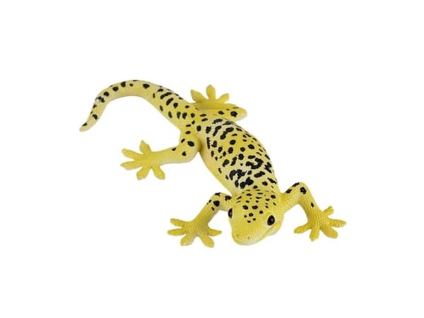Mojo Leopard gekko