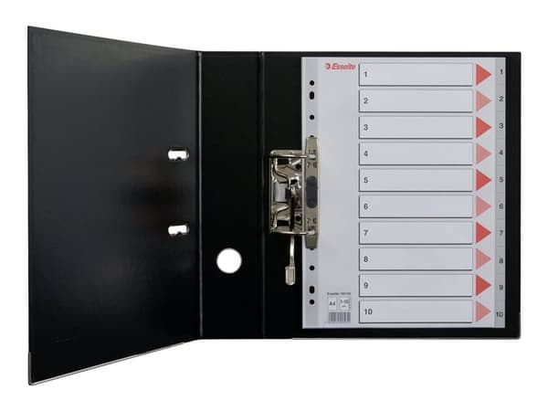 Rekisteri Esselte PP A4 harmaa harmaa - (10 kpl)