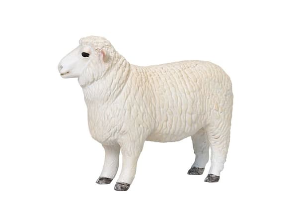 Mojo Romney-lammas (pässi)
