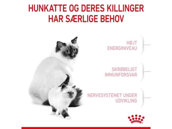 Royal Canin Mother & Babycat tørfoder til kat og killing - 10 kg