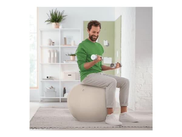 Leitz Ergo Active - Bollstol - ergonomisk - tygklädsel - grå