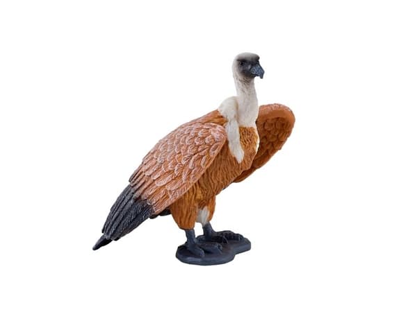 Griffon Vulture