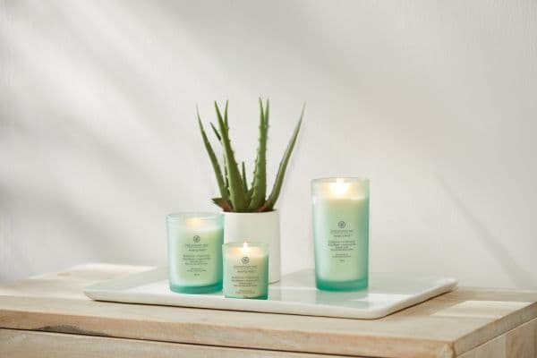 Chesapeake Bay Candle Small - Balance &amp; Harmony