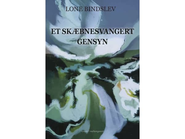 Ett ödesdigert återseende | Lone Bindslev | Kieli: Tanska