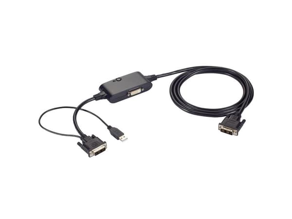 Black Box Single Link DVI Splitter Cable - Videosplitter - 2 x DVI