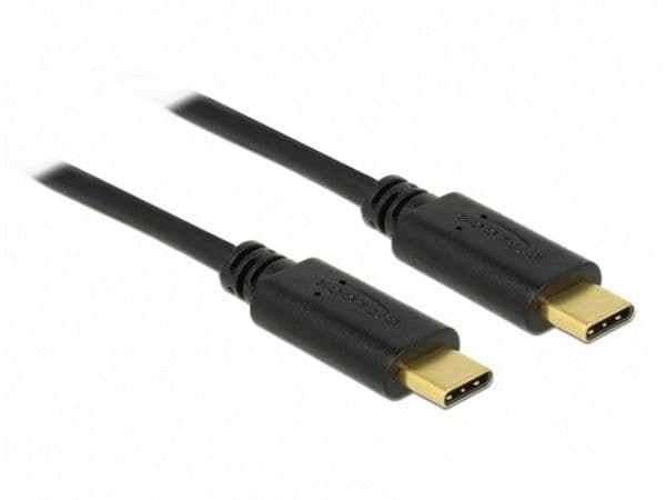 Delock - USB-kaapeli - USB-C (han) til USB-C (han) - USB 2.0 - 5 A - 2 m - lajiteltu