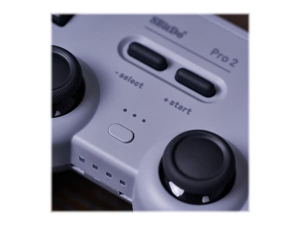 8Bitdo Pro 2 - Spelkontroll - kabelansluten - grå - för Nintendo Switch, PC