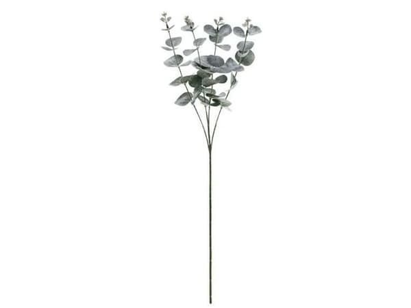Eucalyptus gren, 60 cm