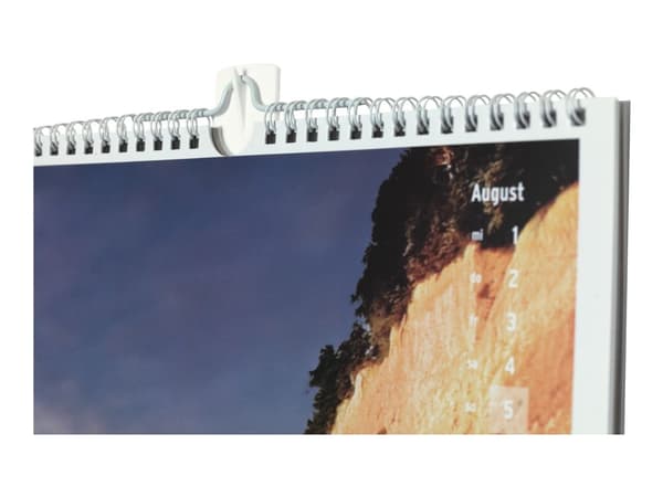 tesa Powerstrips Picture Hook - Itsekiinnittyvä koukku - valkoinen (2 kpl)