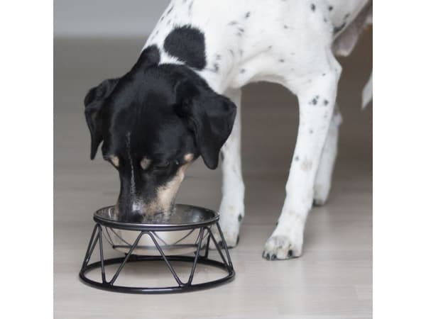 DOGMAN Matskål Menja S