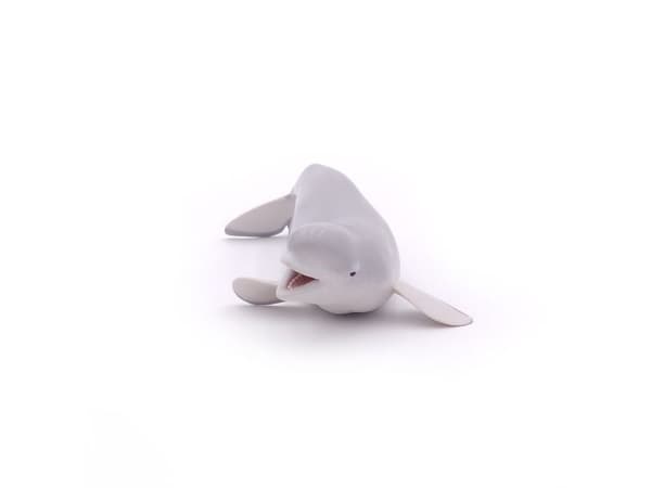 PAPO Beluga