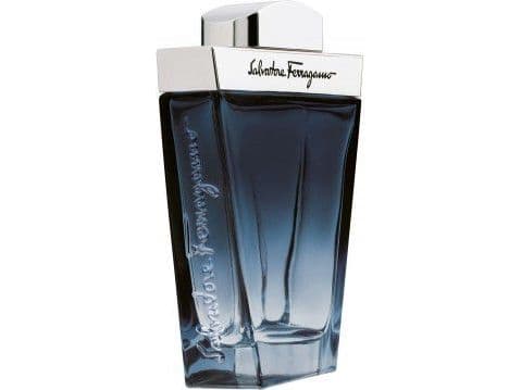 Salvatore Ferragamo Subtil 100 ml, miehet, 100 ml