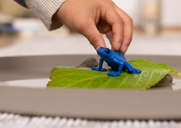 Schleich blå pilgiftfrosk