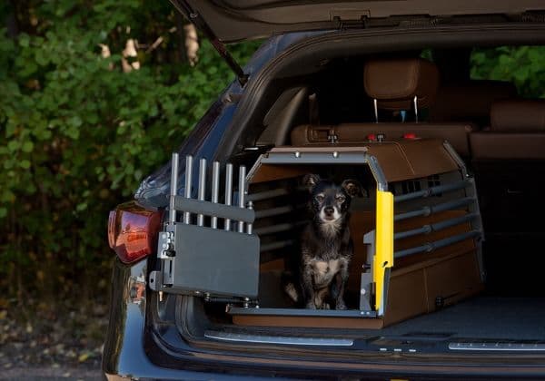 MimSafe Variocage Minimax Hundbur Large