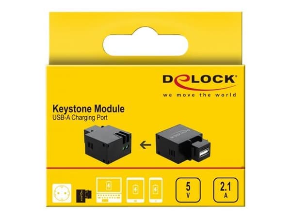 Delock - Modulinnlegg - USB-lading - svart