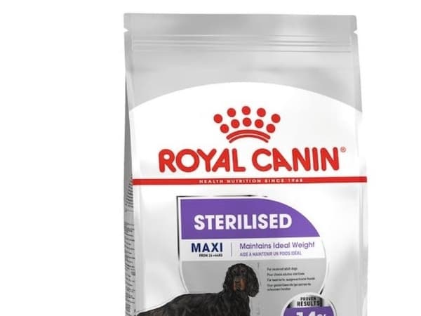 ROYAL CANIN CCN Maxi Sterilised Adult - torrfoder för hundar - 12 kg