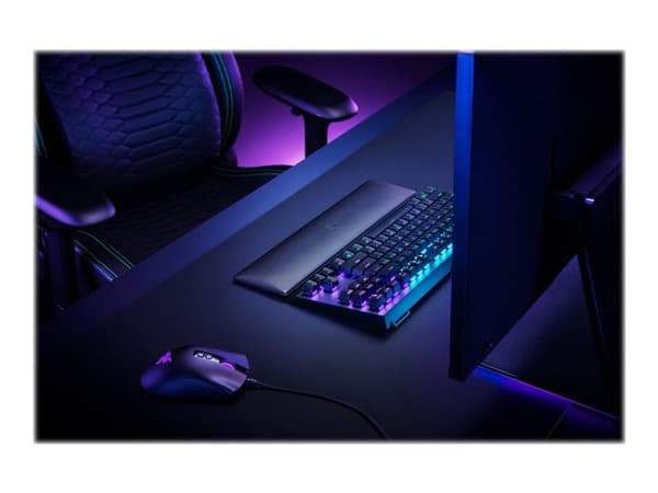 Razer Standard Edition - Håndleddsstøtte - tenkeyless