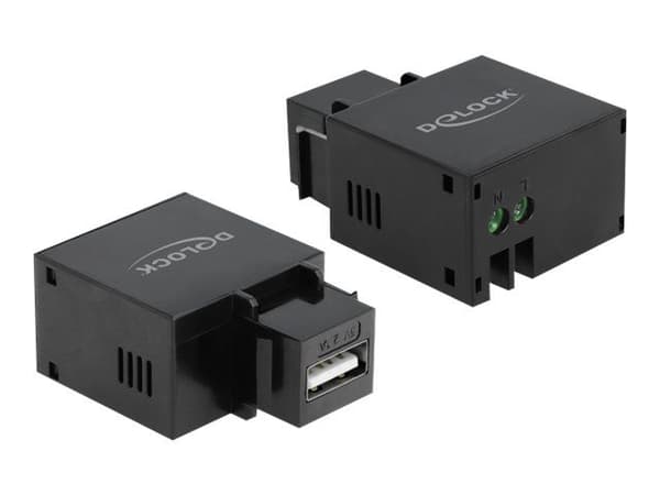 Delock - Modulinnlegg - USB-lading - svart