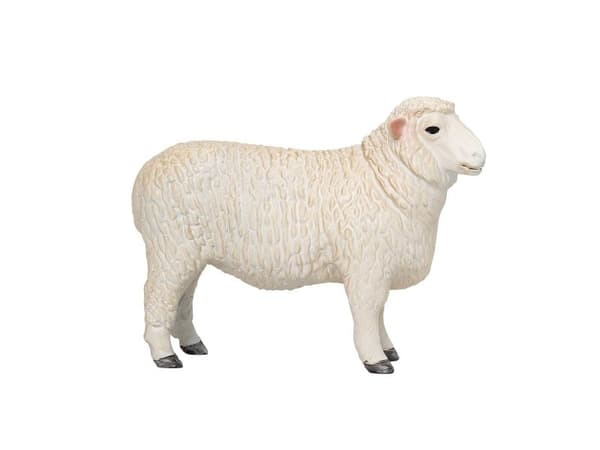 Mojo Romney Sheep (Ram)