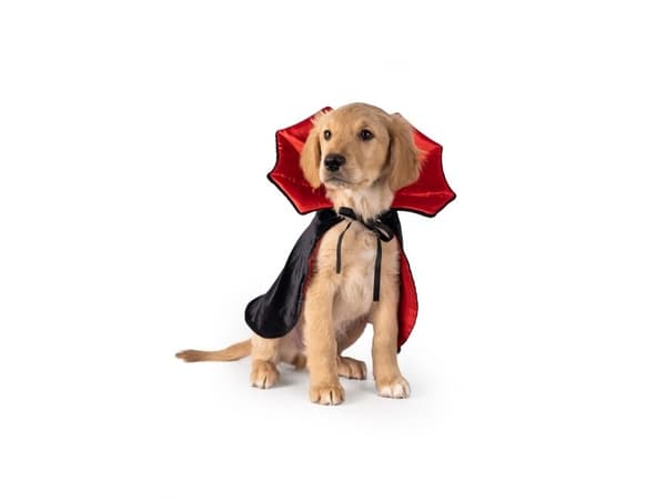 Dogman Maskeradkostym Dracula XS