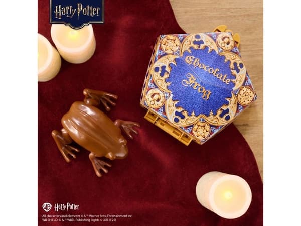 HARRY POTTER interaktivt leksak Chocolate Frog