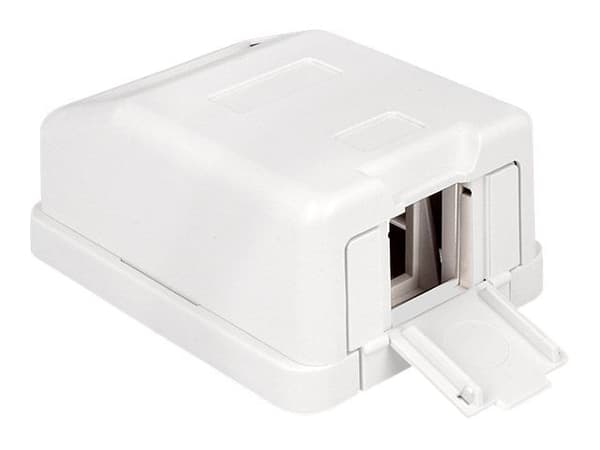Delock Keystone Surface Mounted Box - Chassi med modulär insättning - vit - 1 port