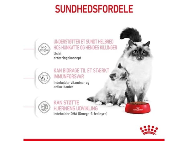 Royal Canin Mother & Babycat tørfoder til kat og killing - 10 kg