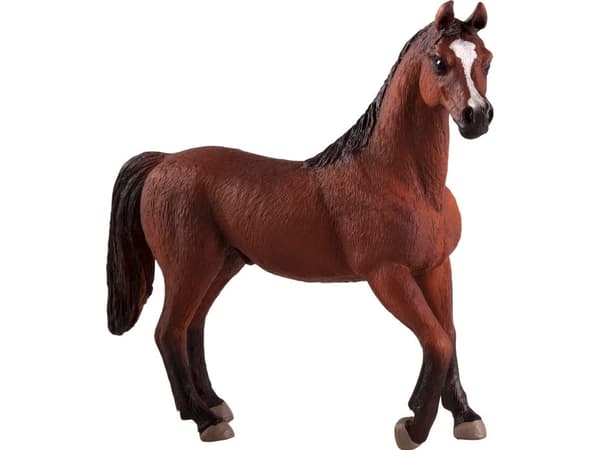 Mojo Arabian ori, Kastanja