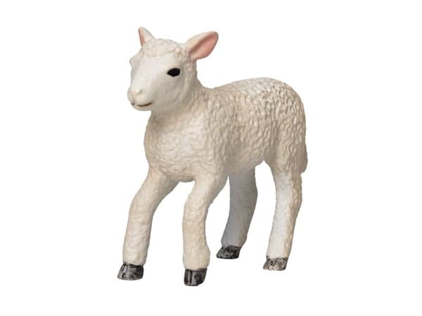 Mojo Romney Lamb Running