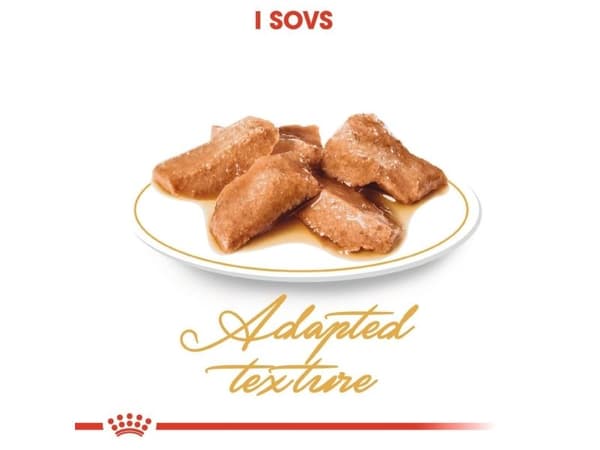Royal Canin Maine Coon Adult Gravy vådfoder til kat - 12x85 g