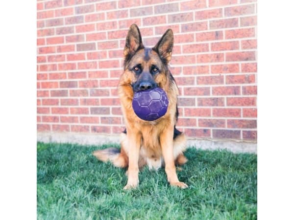 KONG Kong Flexball 15 cm